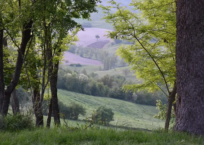 Han/Misafirhane Sottolaluna *